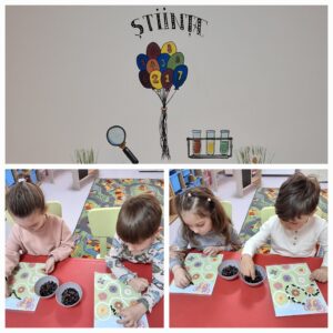 activitati-gradinita2-targoviste (20)
