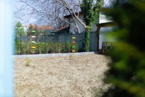 gradinita-2-targoviste-2025 (13)